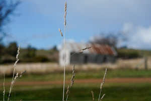 Hobart to Freycinet