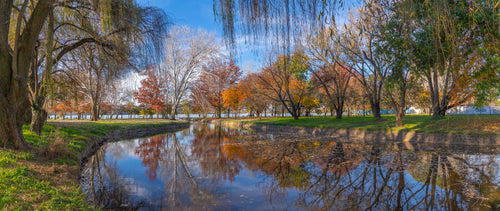 Autumn in Bowen Park