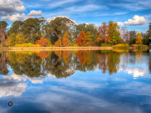 Autumn Reflected