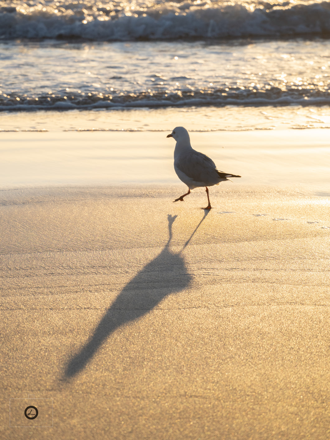 Coast life 6