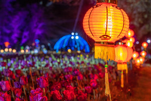 NightFest #4