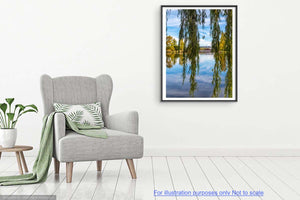 Autumn Willow