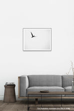 Load image into Gallery viewer, Solo Flight